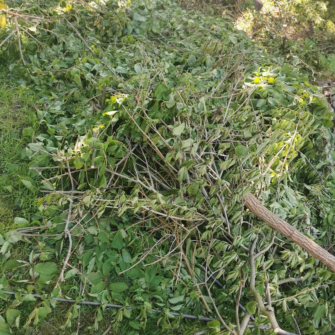 image of Garden waste - Svalöv
