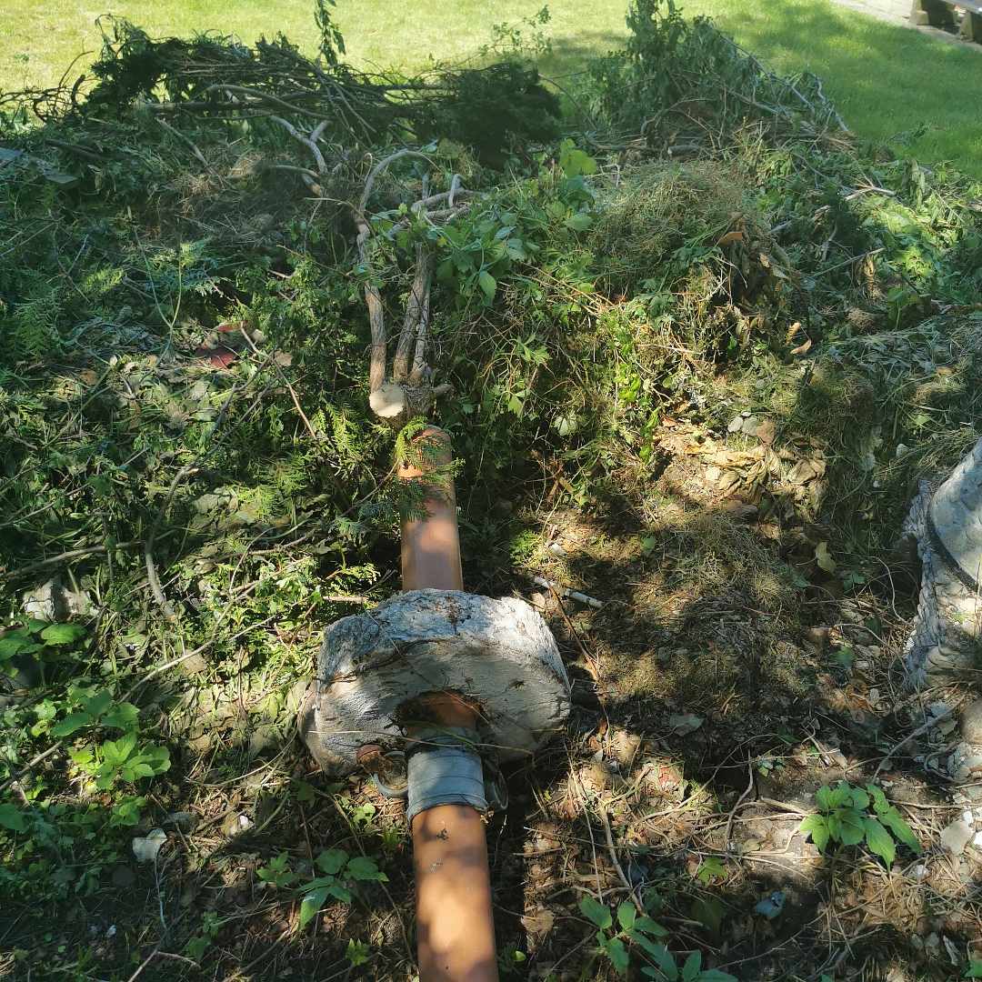 image of Garden waste - Svalöv