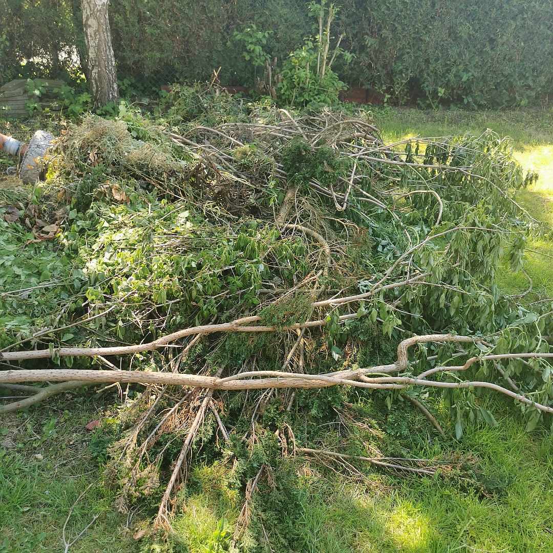 image of Garden waste - Svalöv