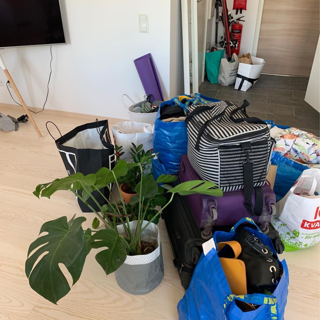 image of Ikeapåsar och resväskor - 