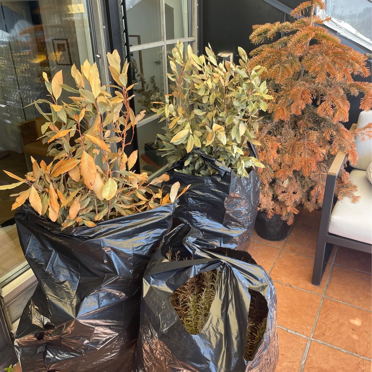 image of Slänga trädgårdsavfall - Stockholm