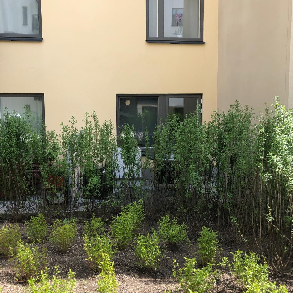 image of Grill och utemöbler - 