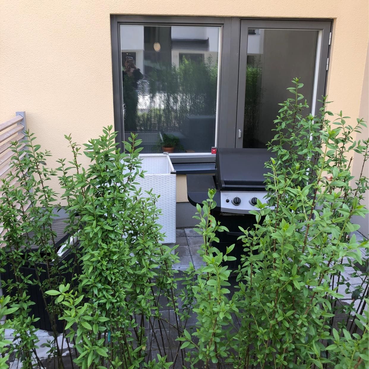 image of Grill och utemöbler - 