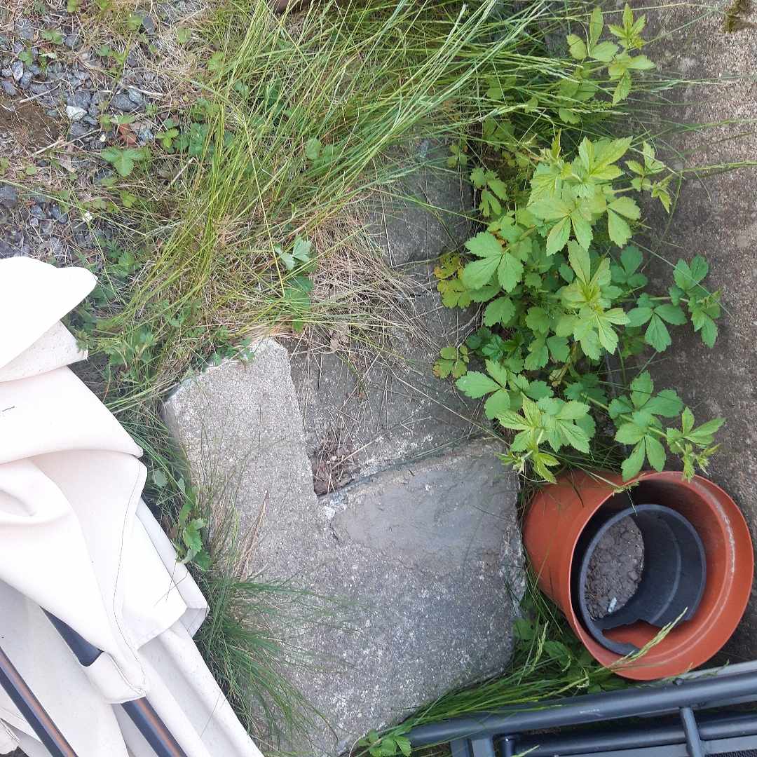 image of Skräp till tippen - Älvsjö