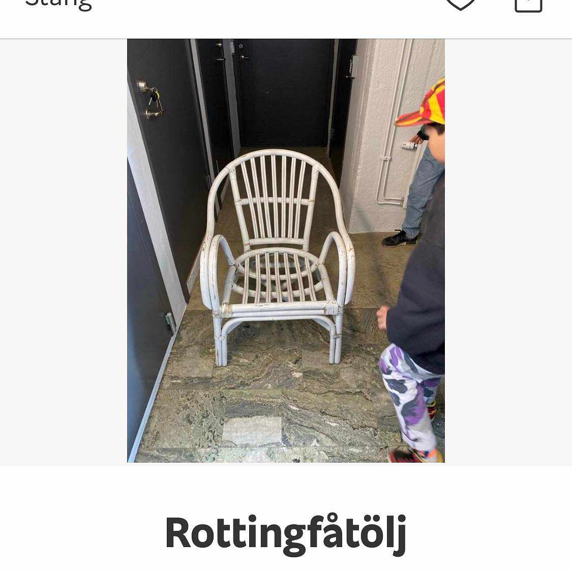 image of Leverera rottingfotölj - 