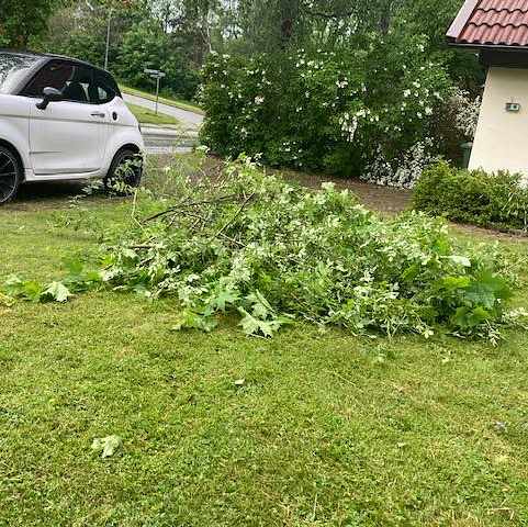 image of Löst trädgårdsavfall - Lidingö