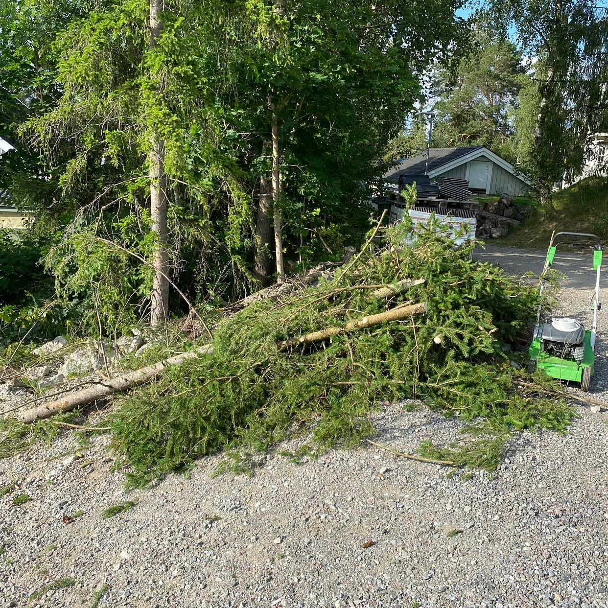 image of Ta bort grenar som bilden - Upplands Väsby