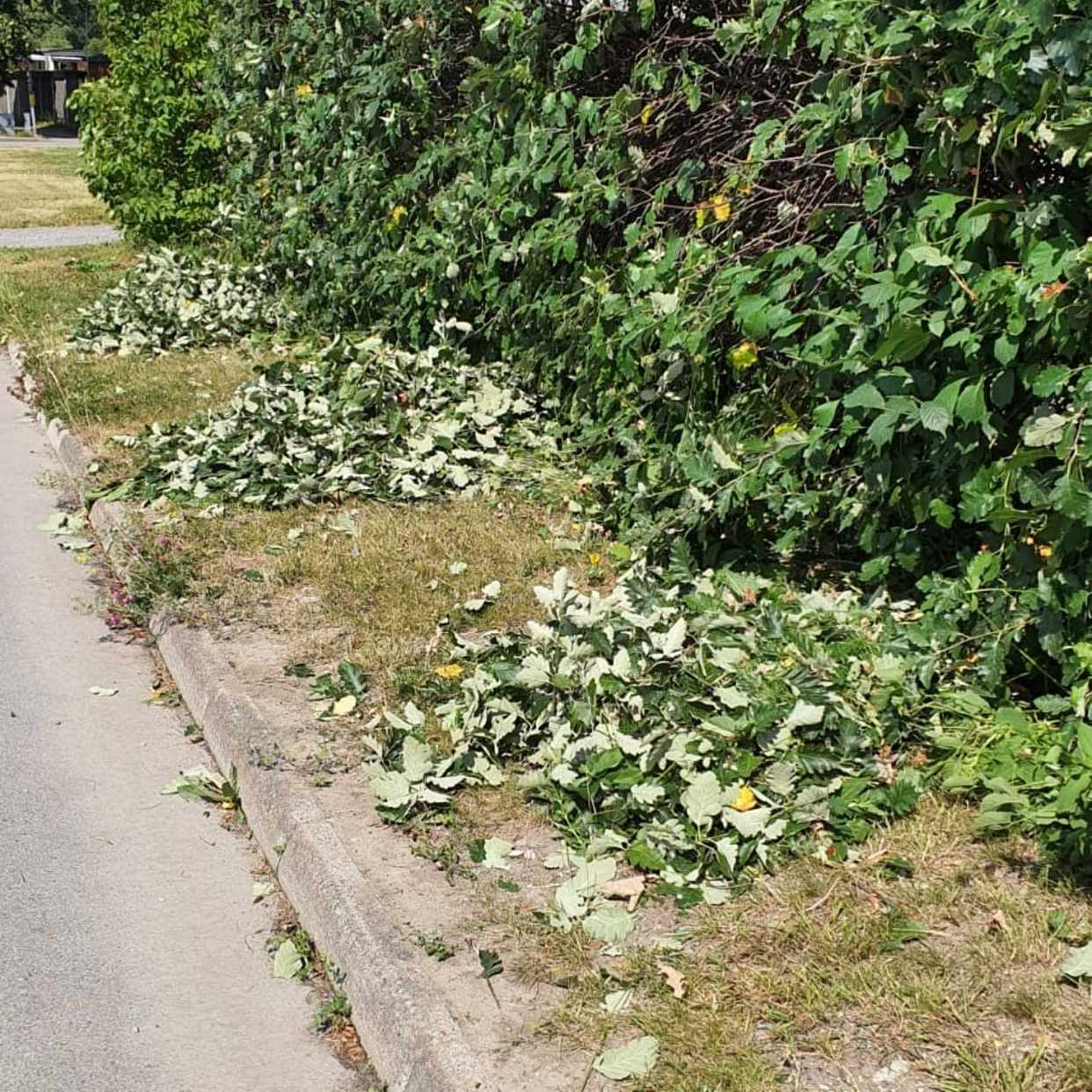 image of Trädgård och div - Sollentuna