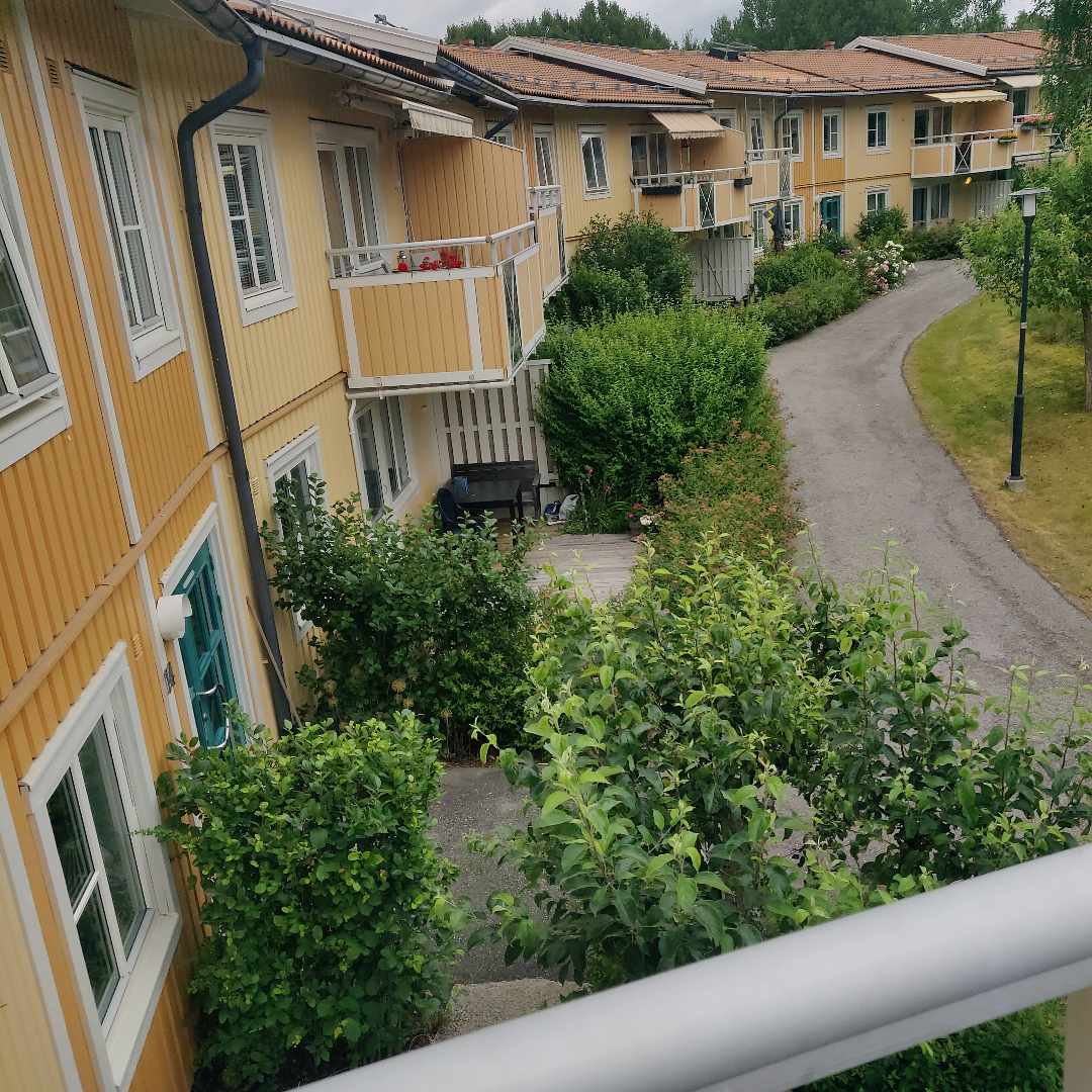 image of Household cleanout - Sollentuna