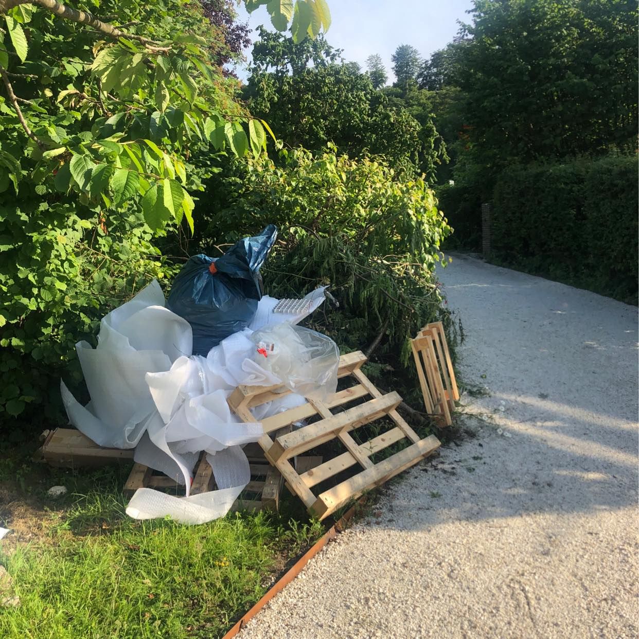 image of Slänga Löv, grenar, lite - Båstad