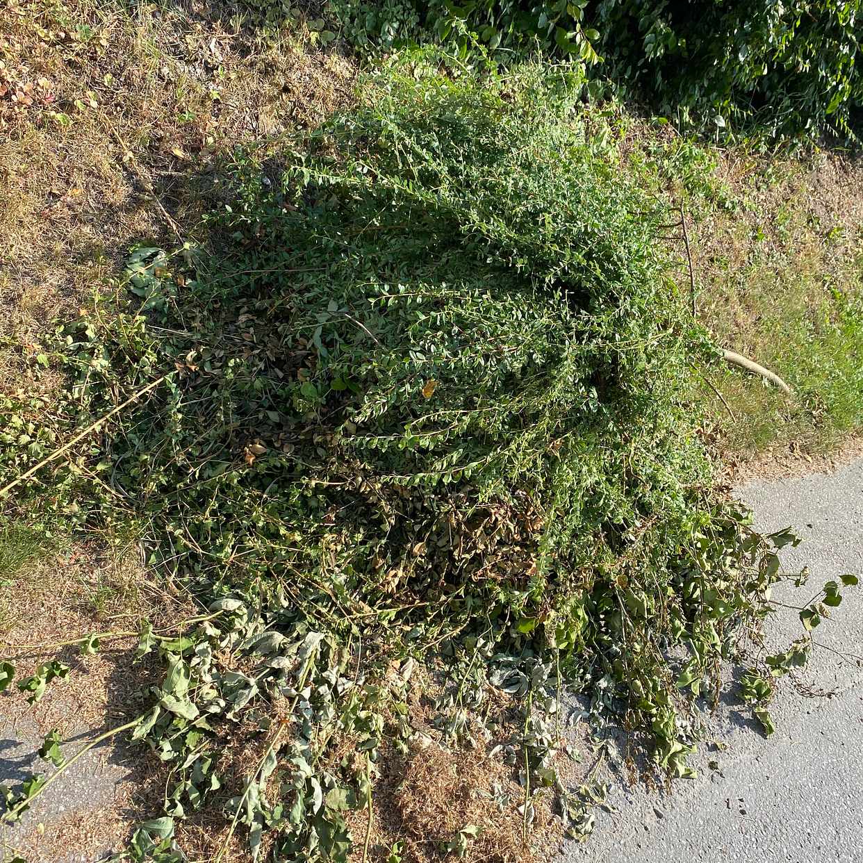 image of Blandad återvinning - Täby