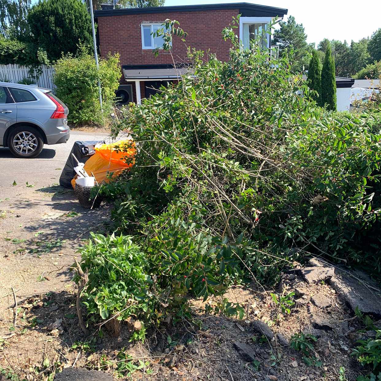 image of Slänga på tippen - Danderyd