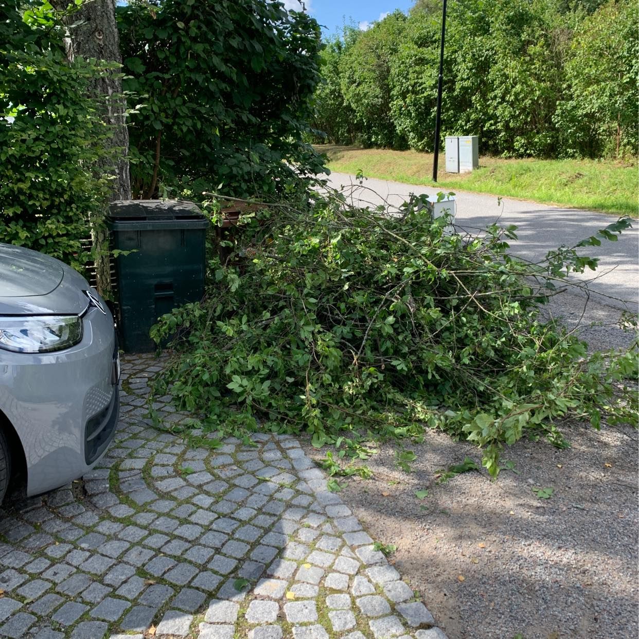 image of Bortforsling av grenar - Saltsjö-Boo