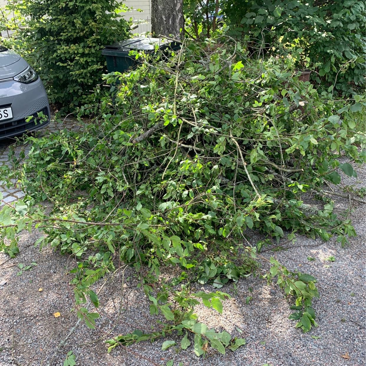 image of Bortforsling av grenar - Saltsjö-Boo