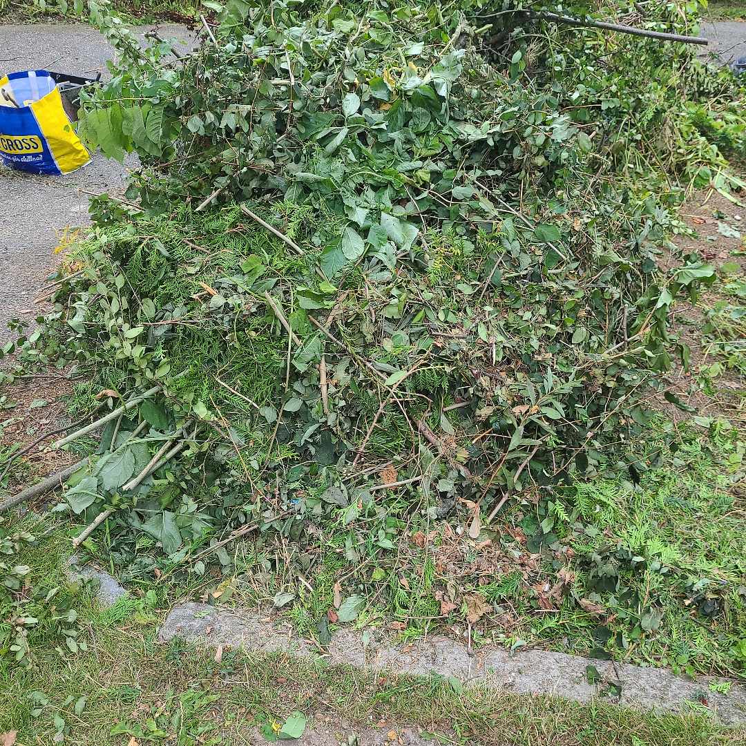 image of Mycket trägårds skräp - Bromma