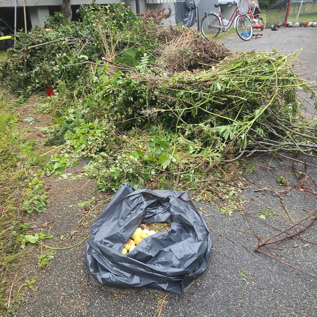 image of Mycket trägårds skräp - Bromma