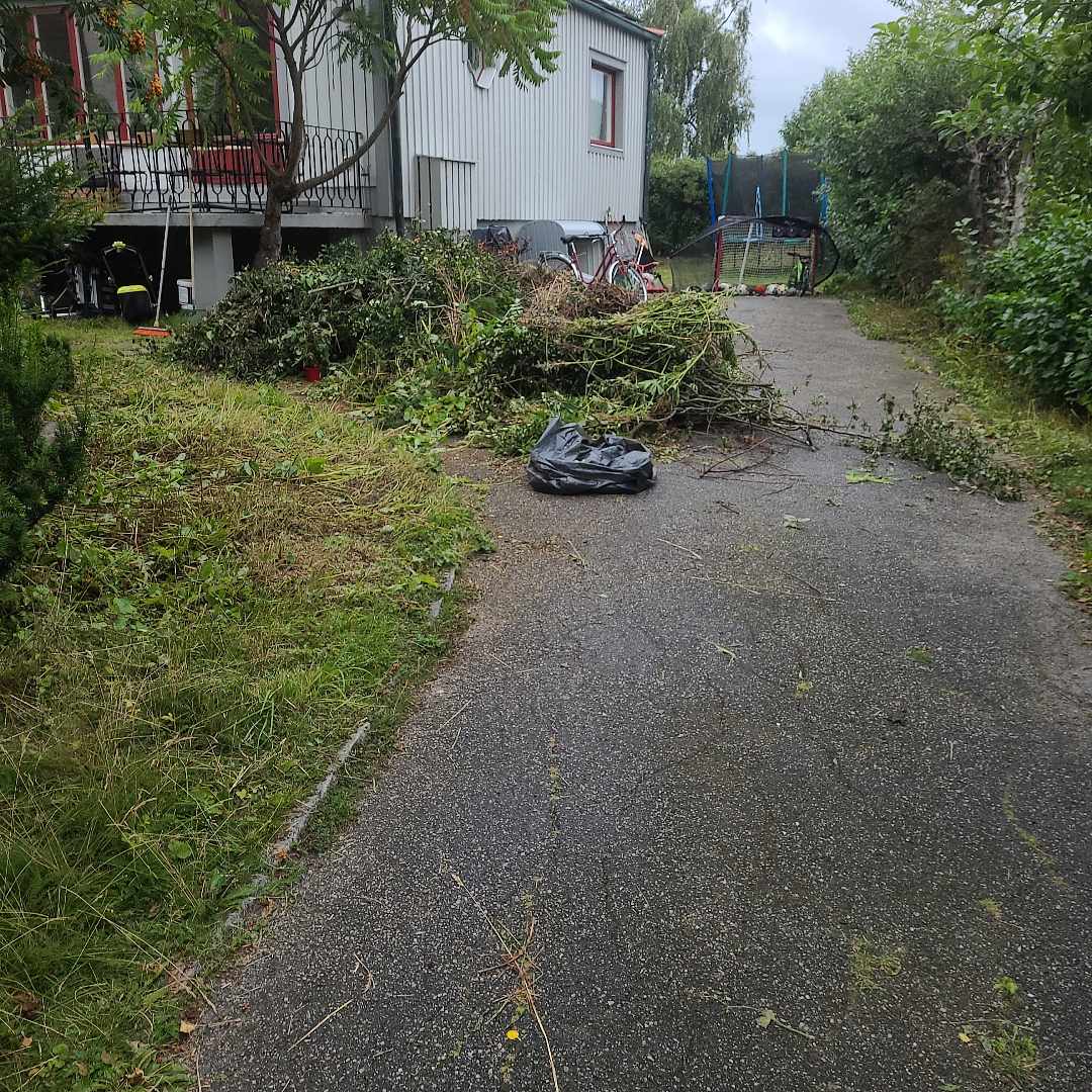 image of Mycket trägårds skräp - Bromma