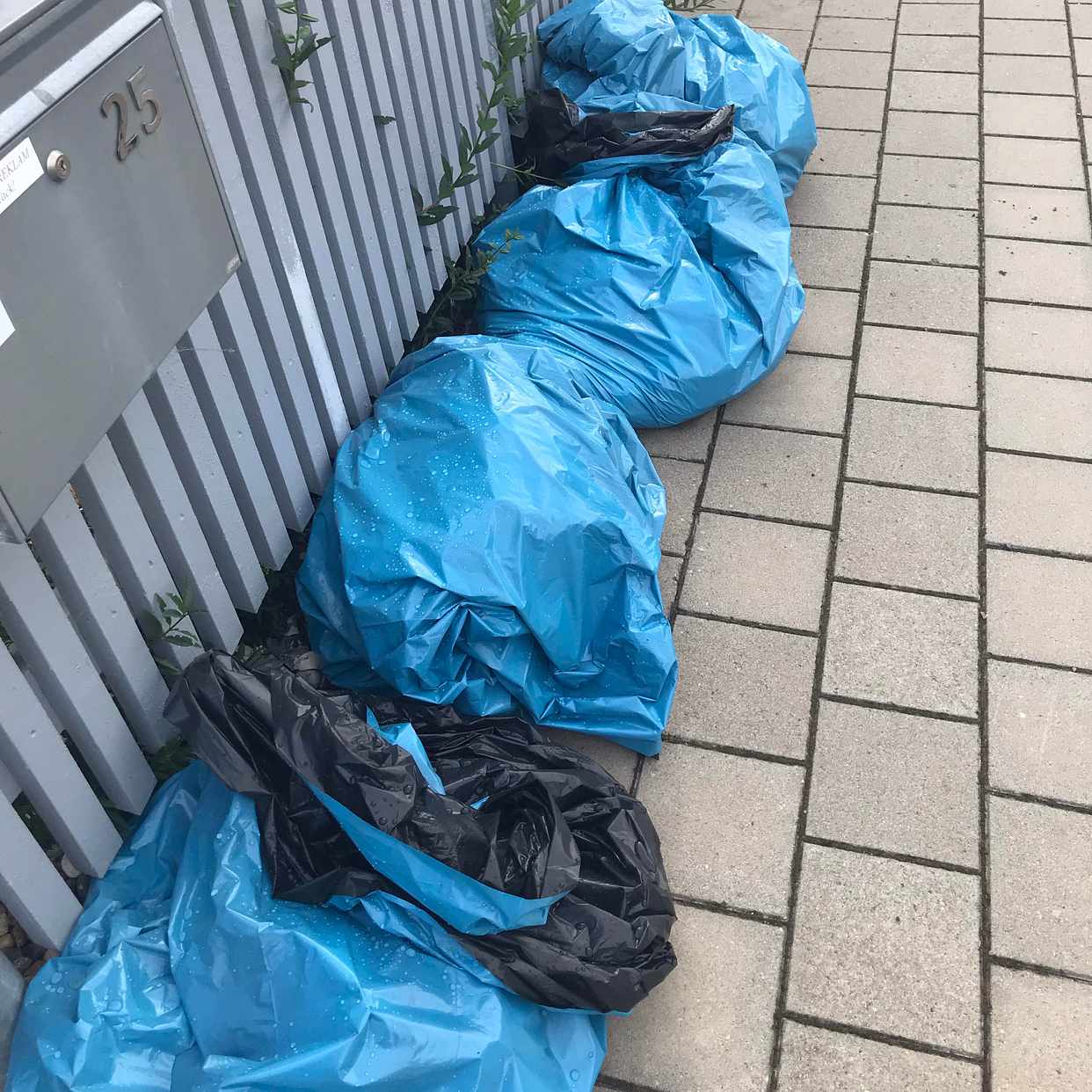image of 4 påsar med uppgrävd gräs - Limhamn