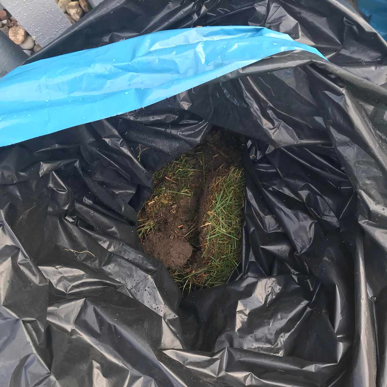 image of 4 påsar med uppgrävd gräs - Limhamn