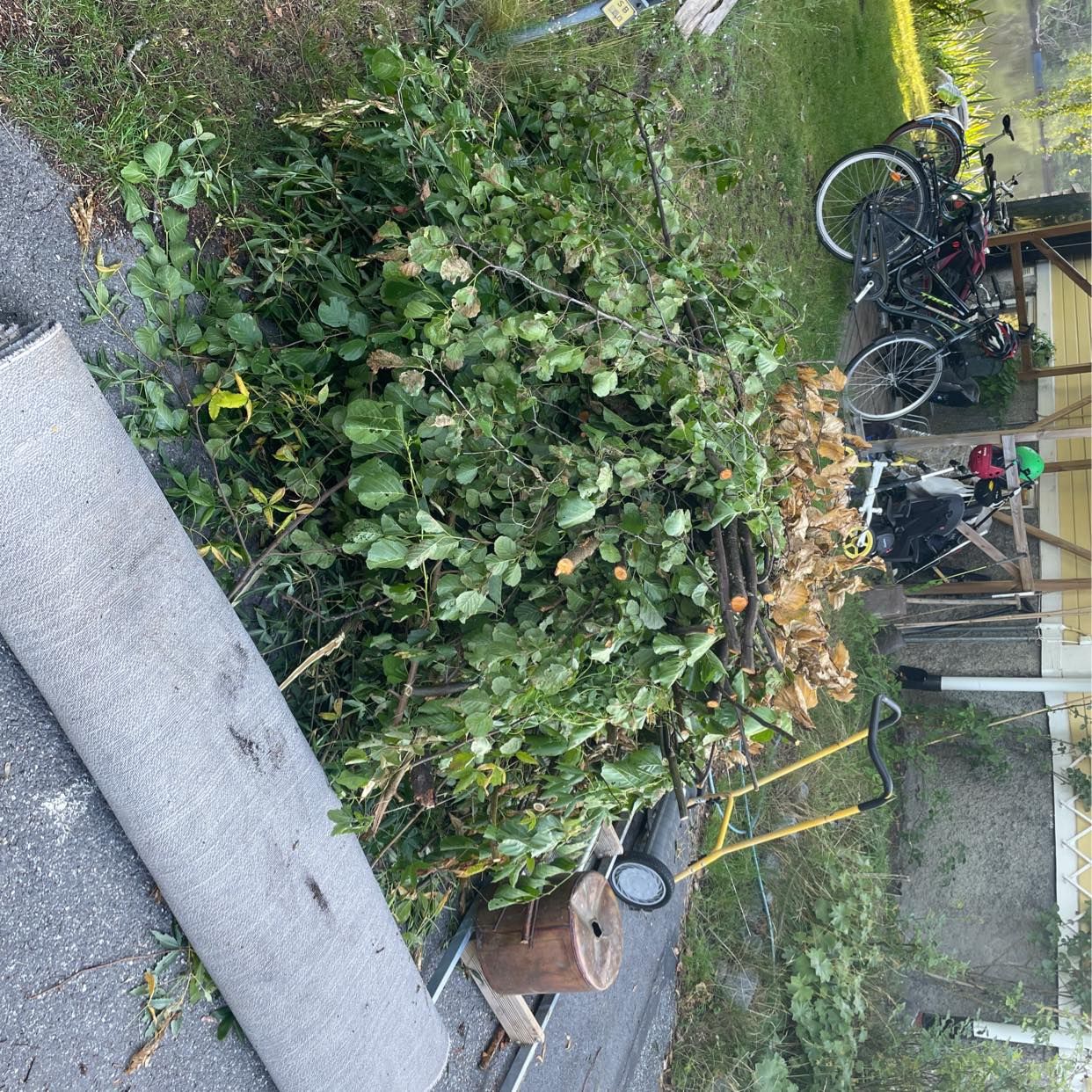 image of Bortforsling/återvinning - Nacka