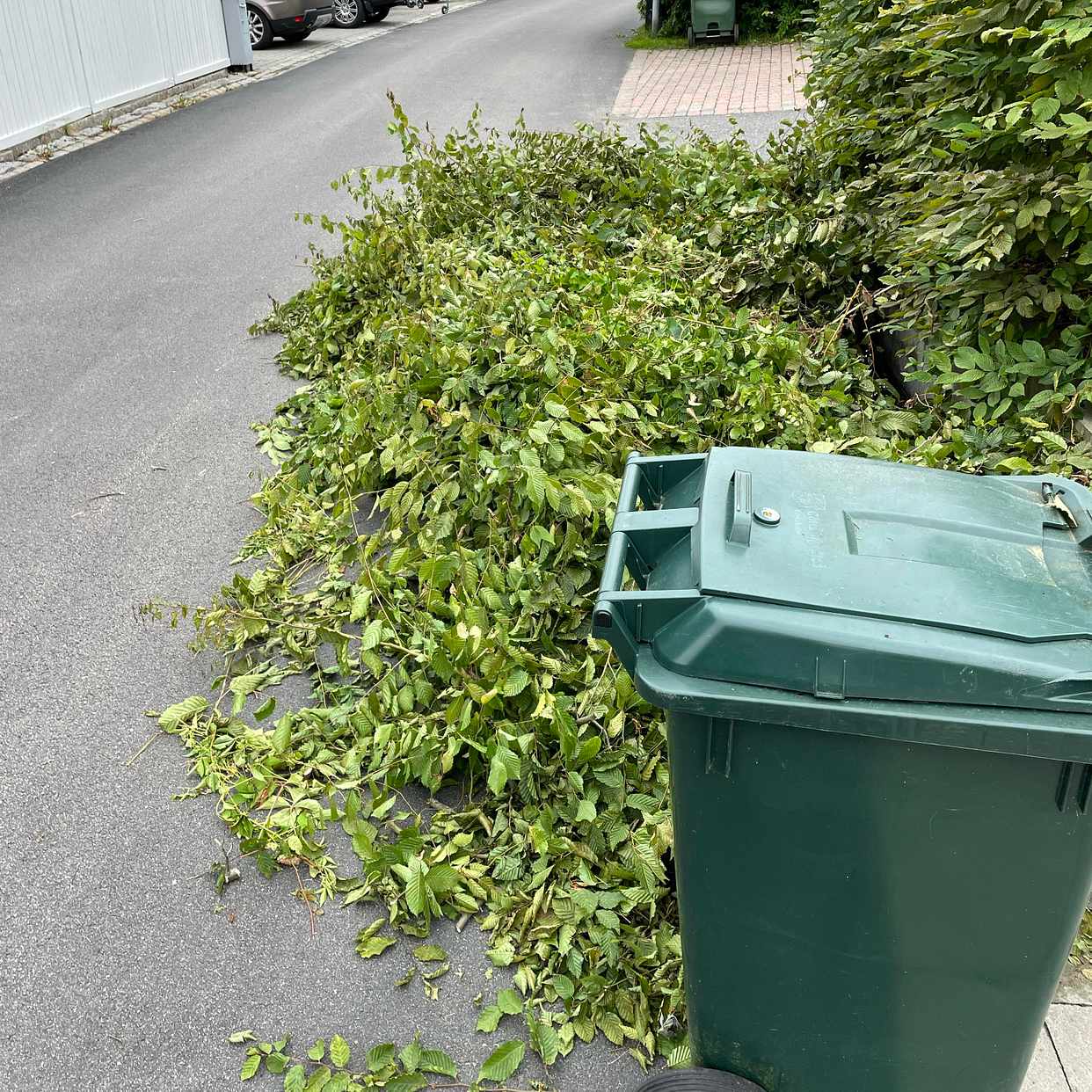 image of Trädgårdsavfall - Hovås