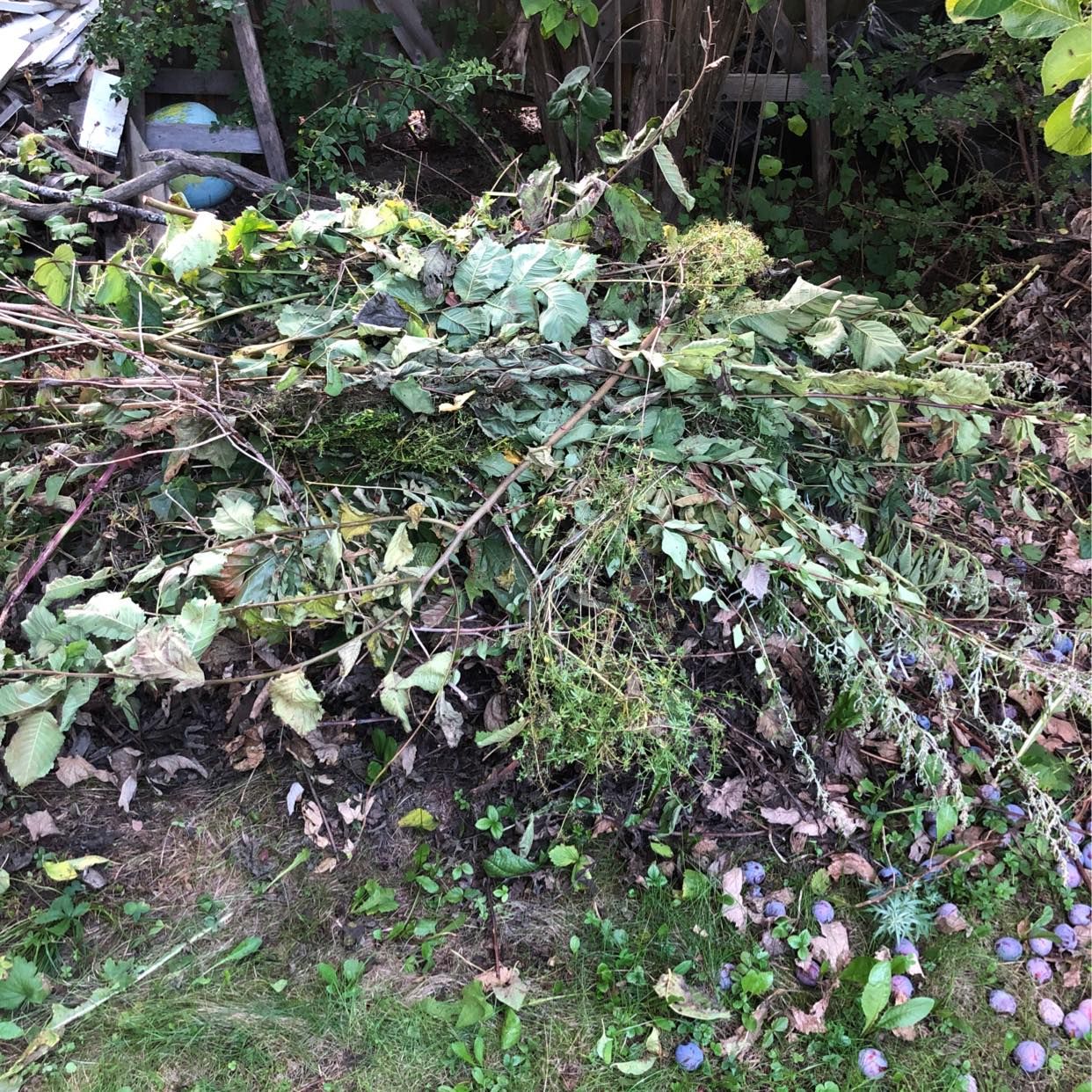 image of Garden waste removal - Täby