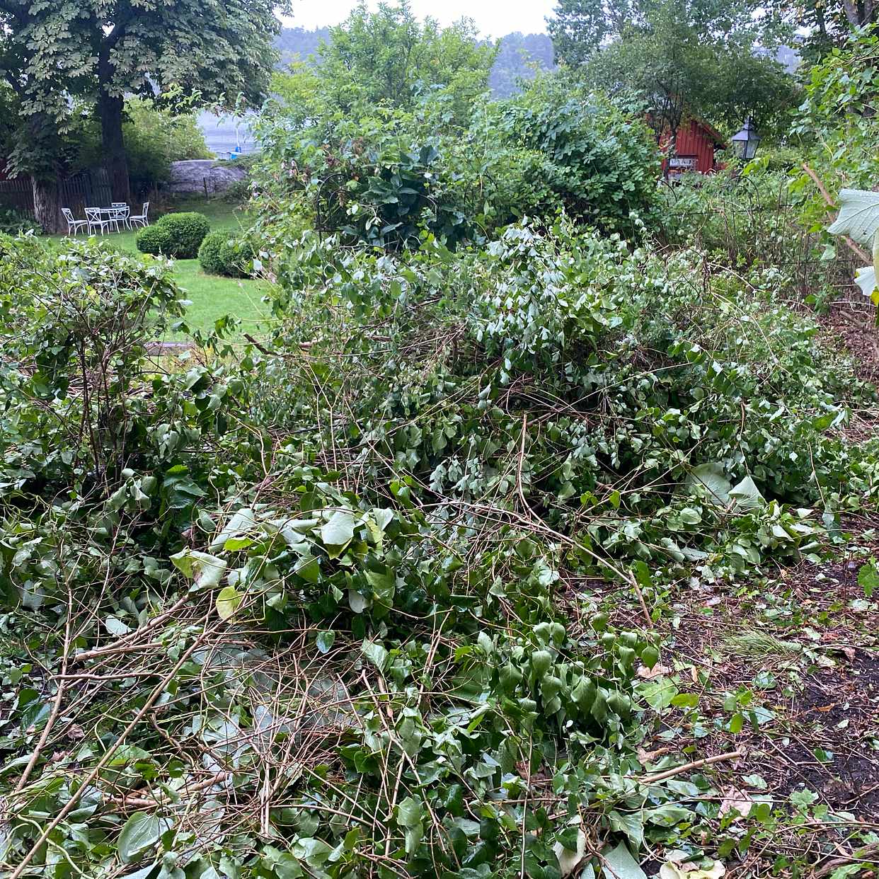 image of 2 piles of branches - Lidingö