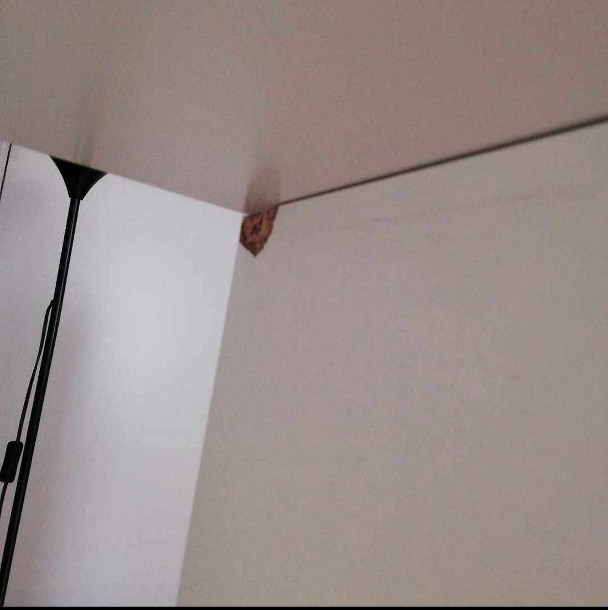 image of 4x4 Ikea Kallax! - Stockholm