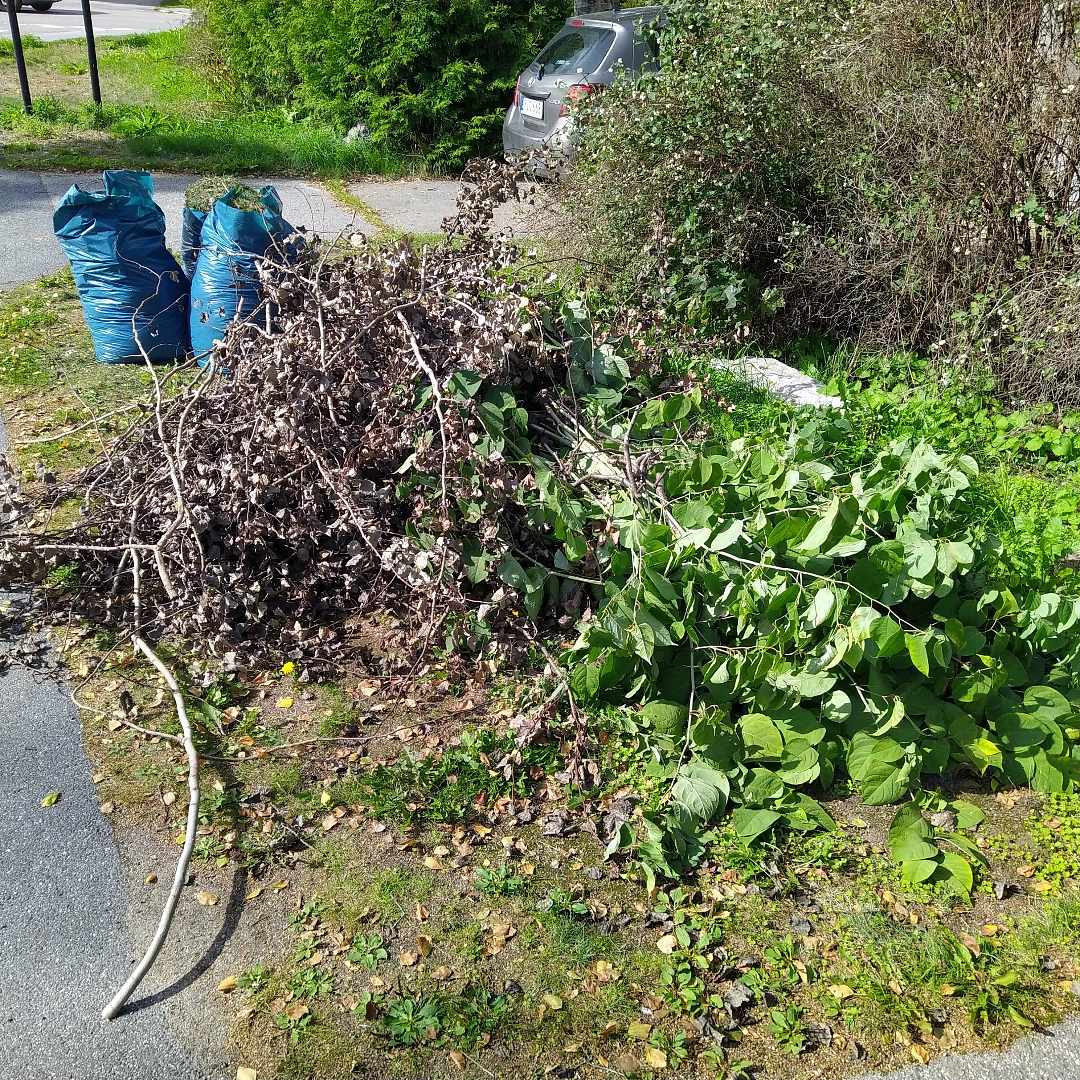 image of 3 säckar gräs och grenar - Lidingö