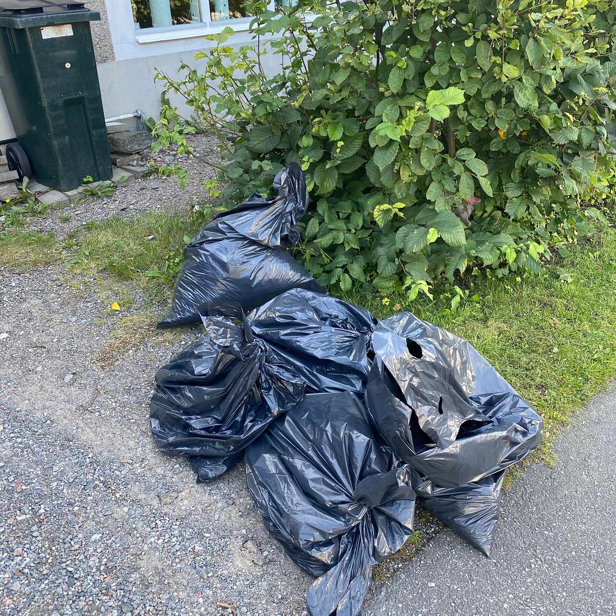 image of 6 st påsar grenar/frukt - Enskededalen