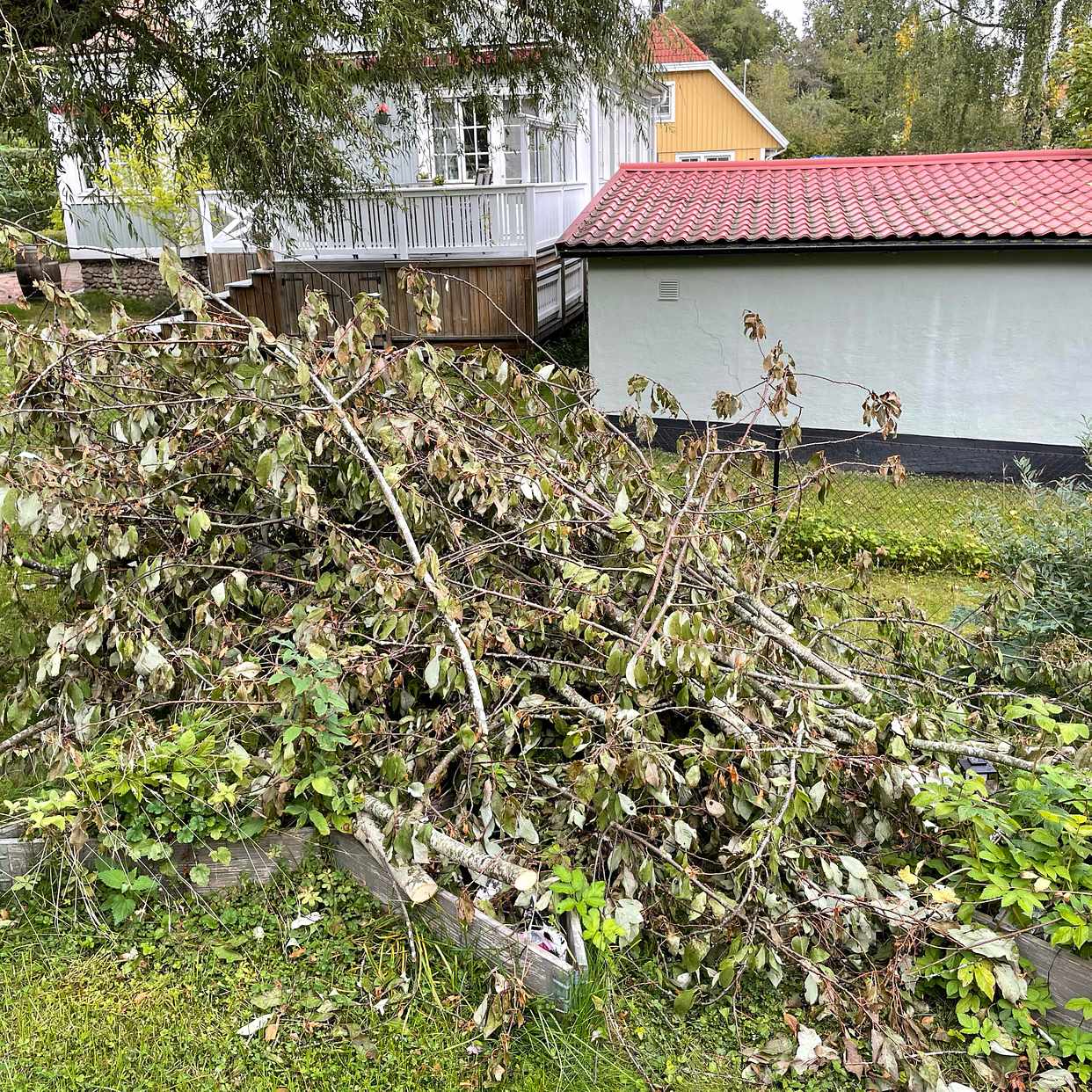 image of Bortforsling 2 högar ris - 