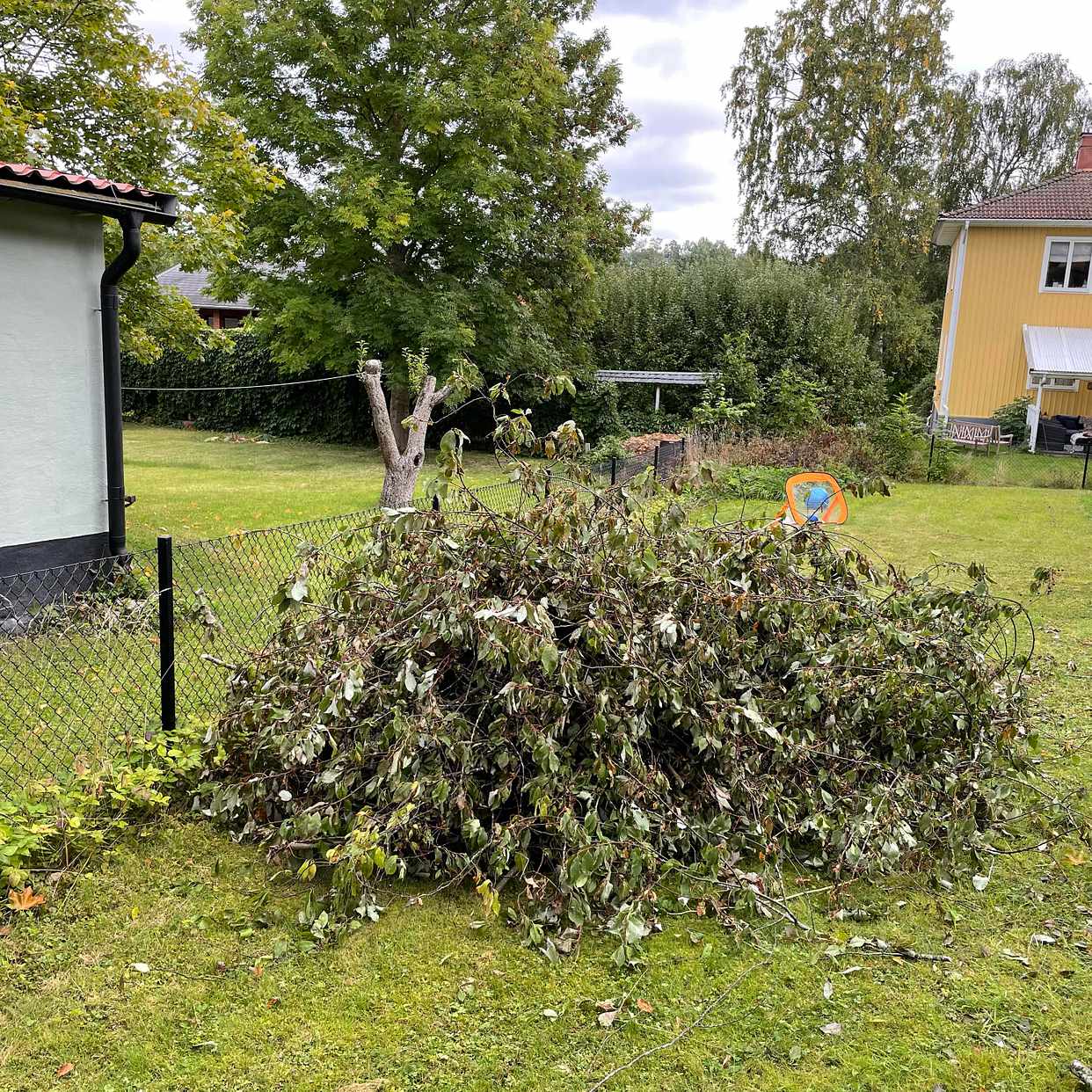 image of Bortforsling 2 högar ris - 