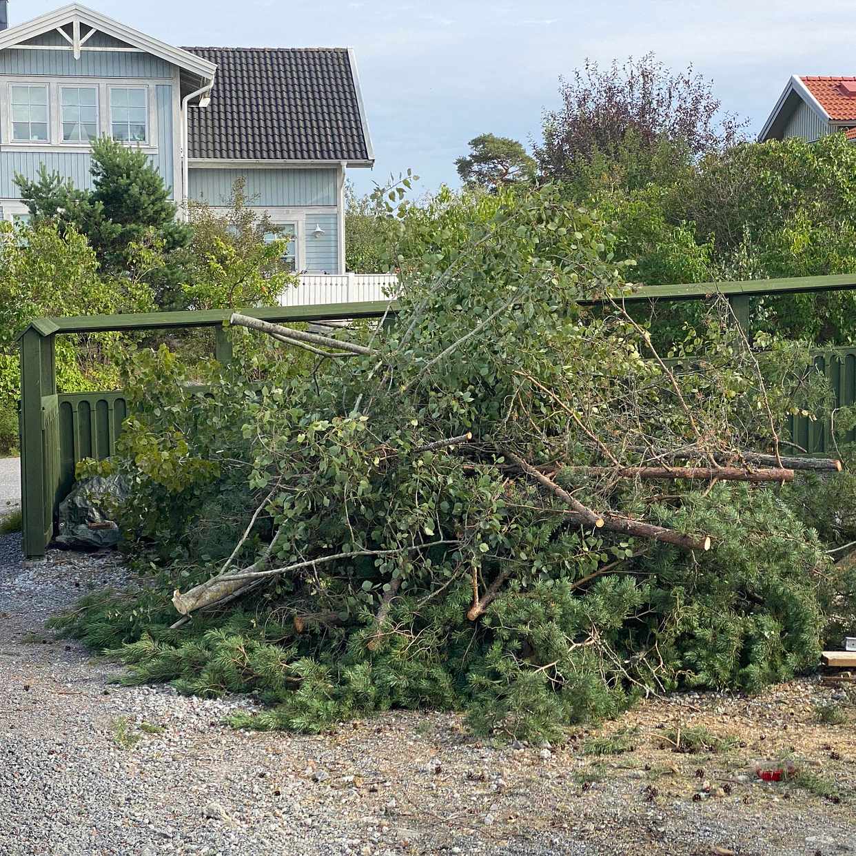 image of Hämta rishög - Dalarö