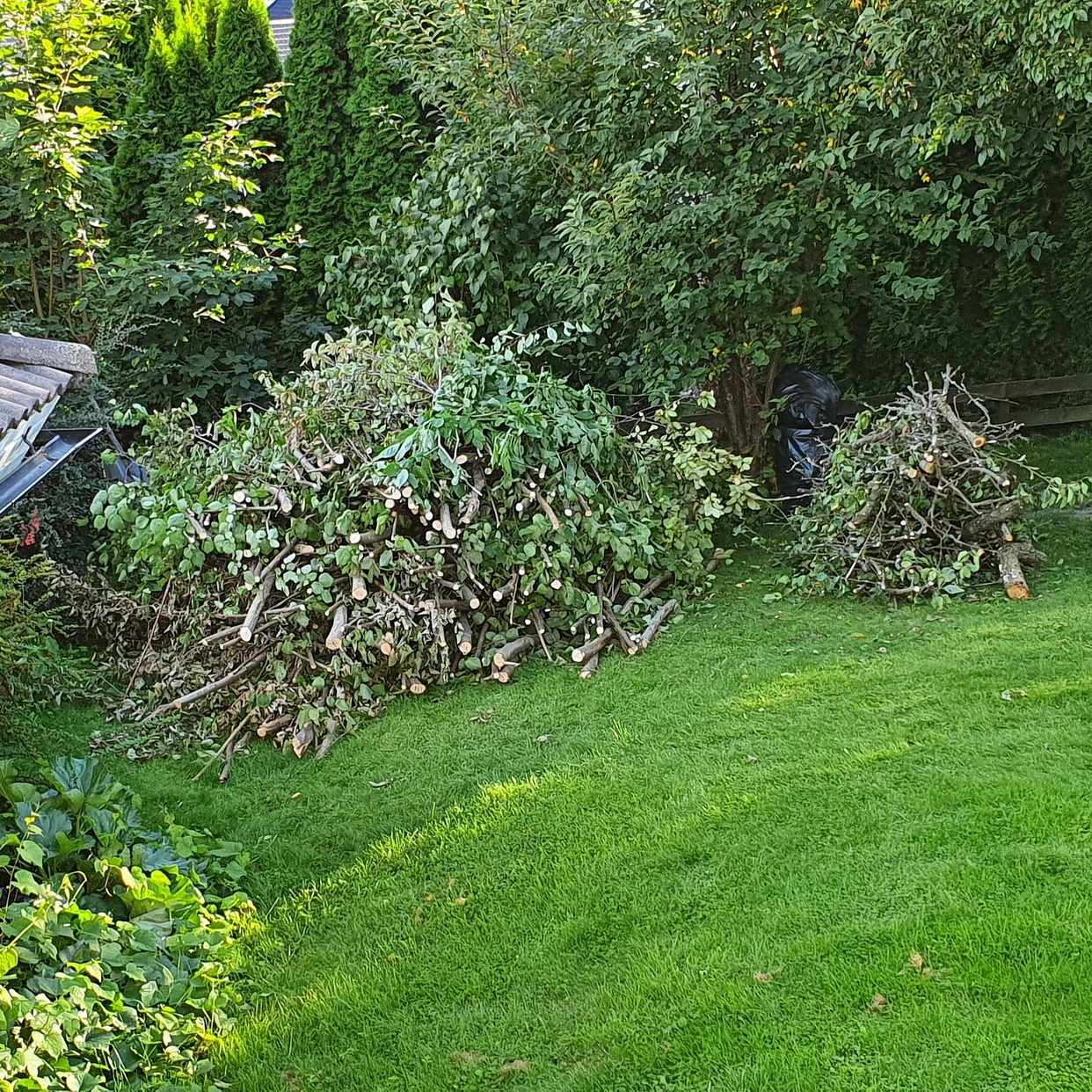 image of Trädgårdsavfall - Hässelby