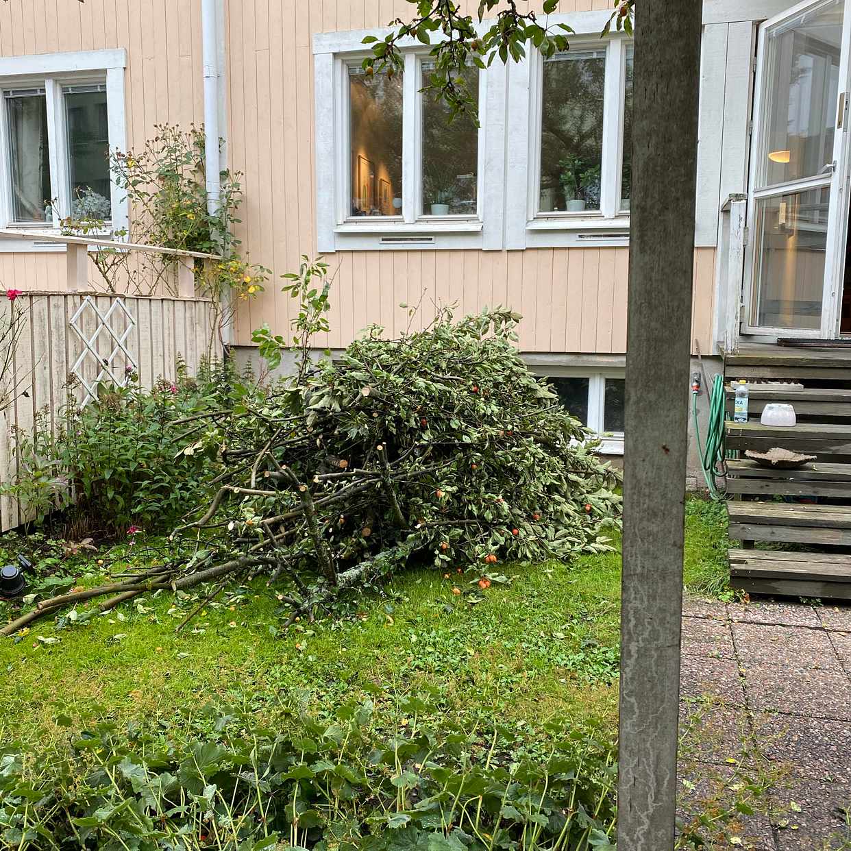 image of Grenar - Uppsala