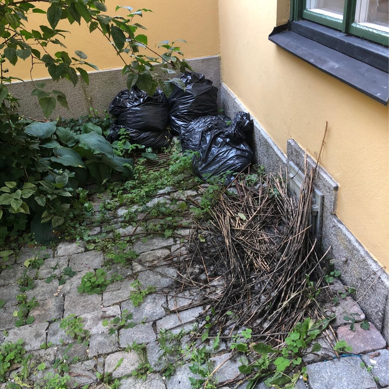 image of 5 lövsäckar och lite vass - Stockholms Stad