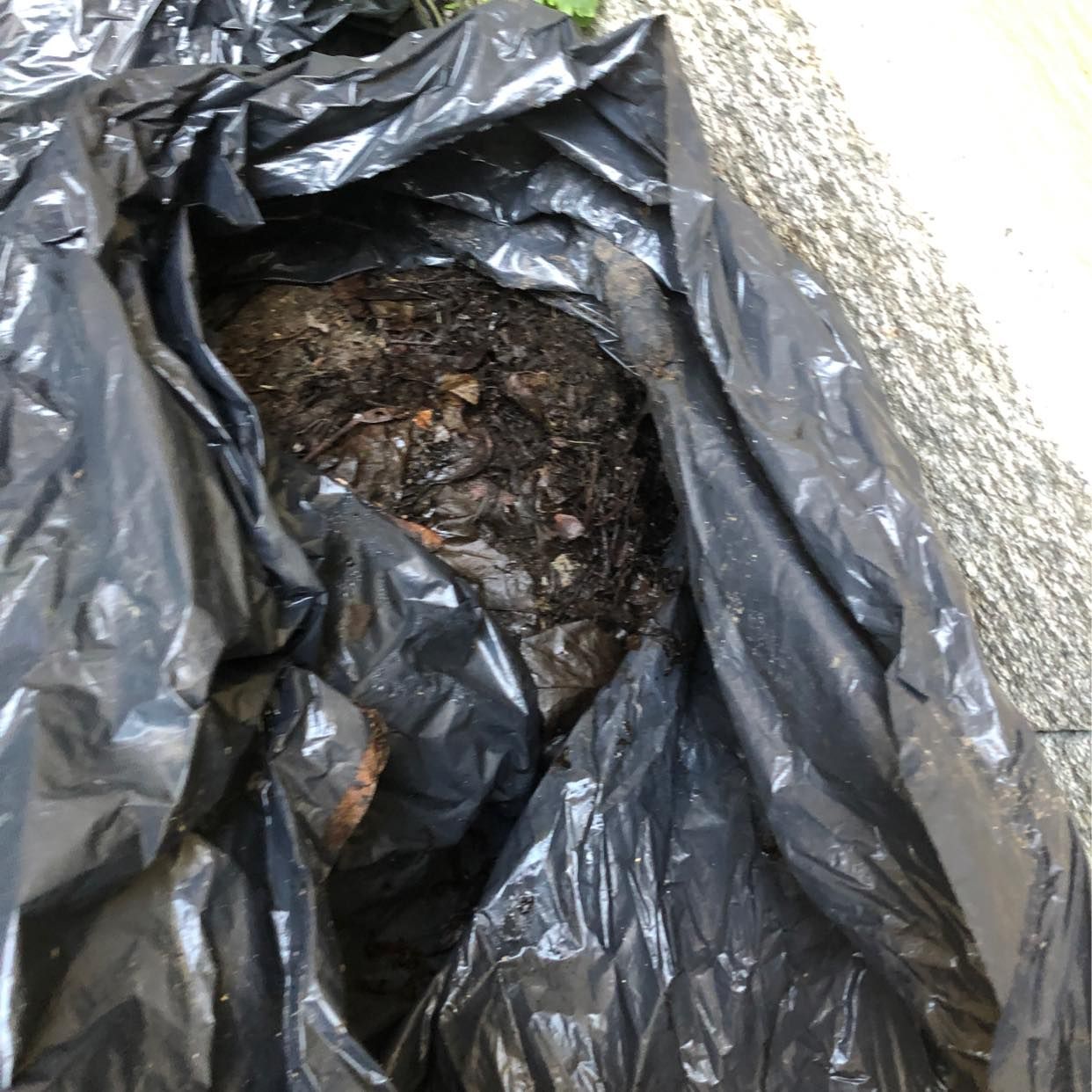 image of 5 lövsäckar och lite vass - Stockholms Stad
