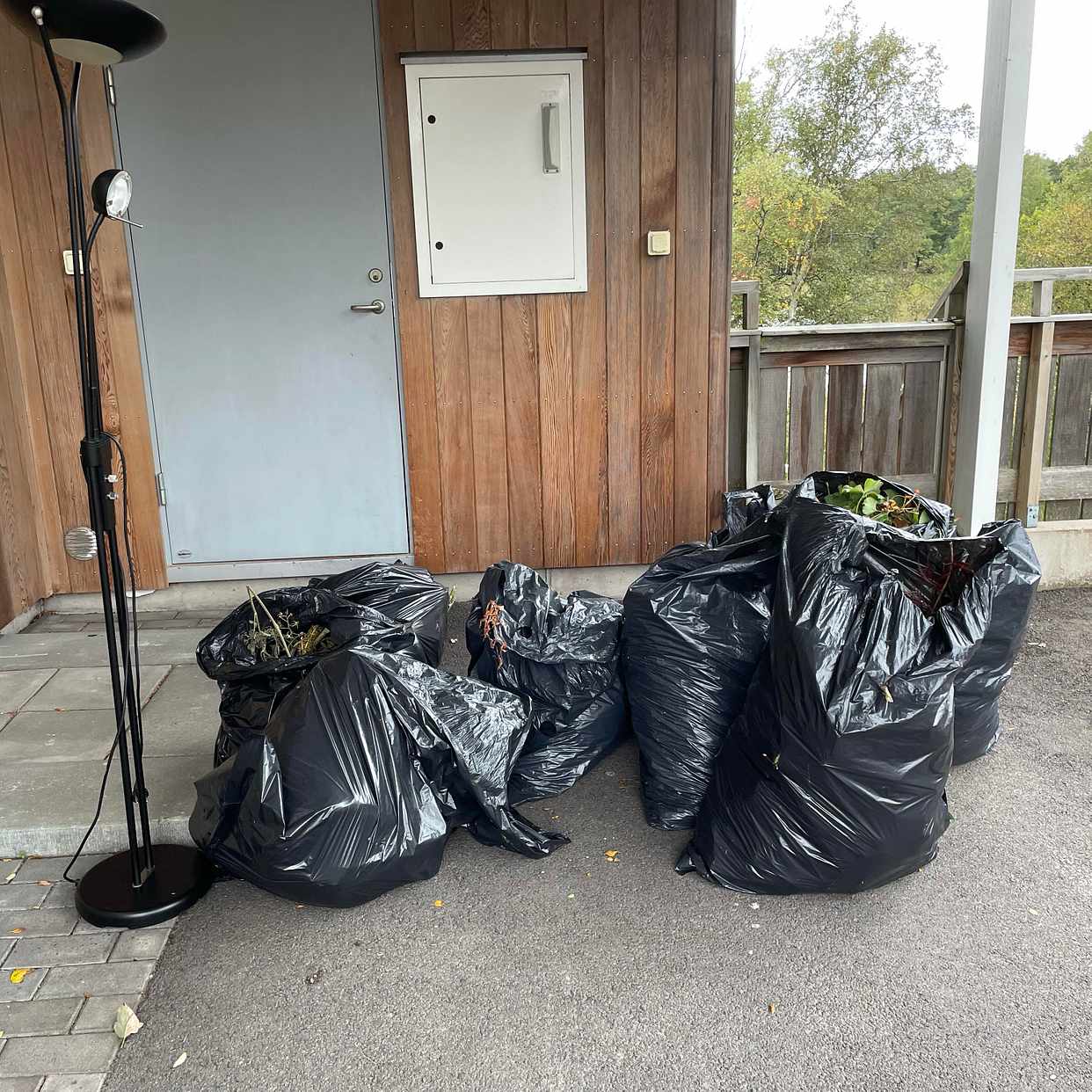image of Trädgårdsavfall + 1 lampa - Torslanda