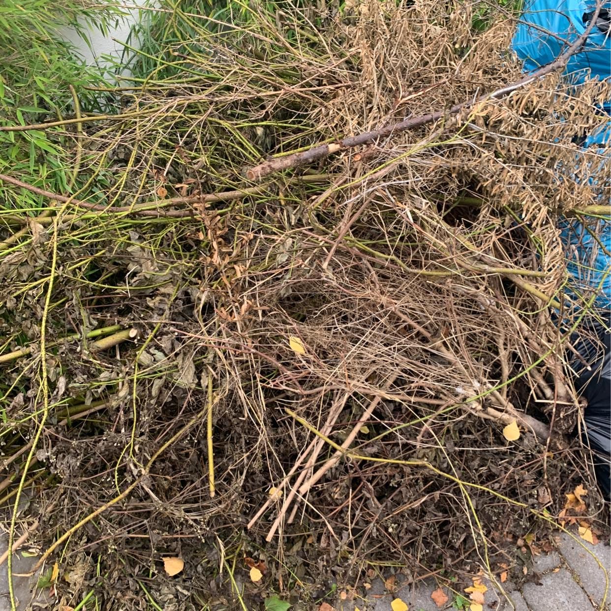 image of Removal of garden waste - Lidingö