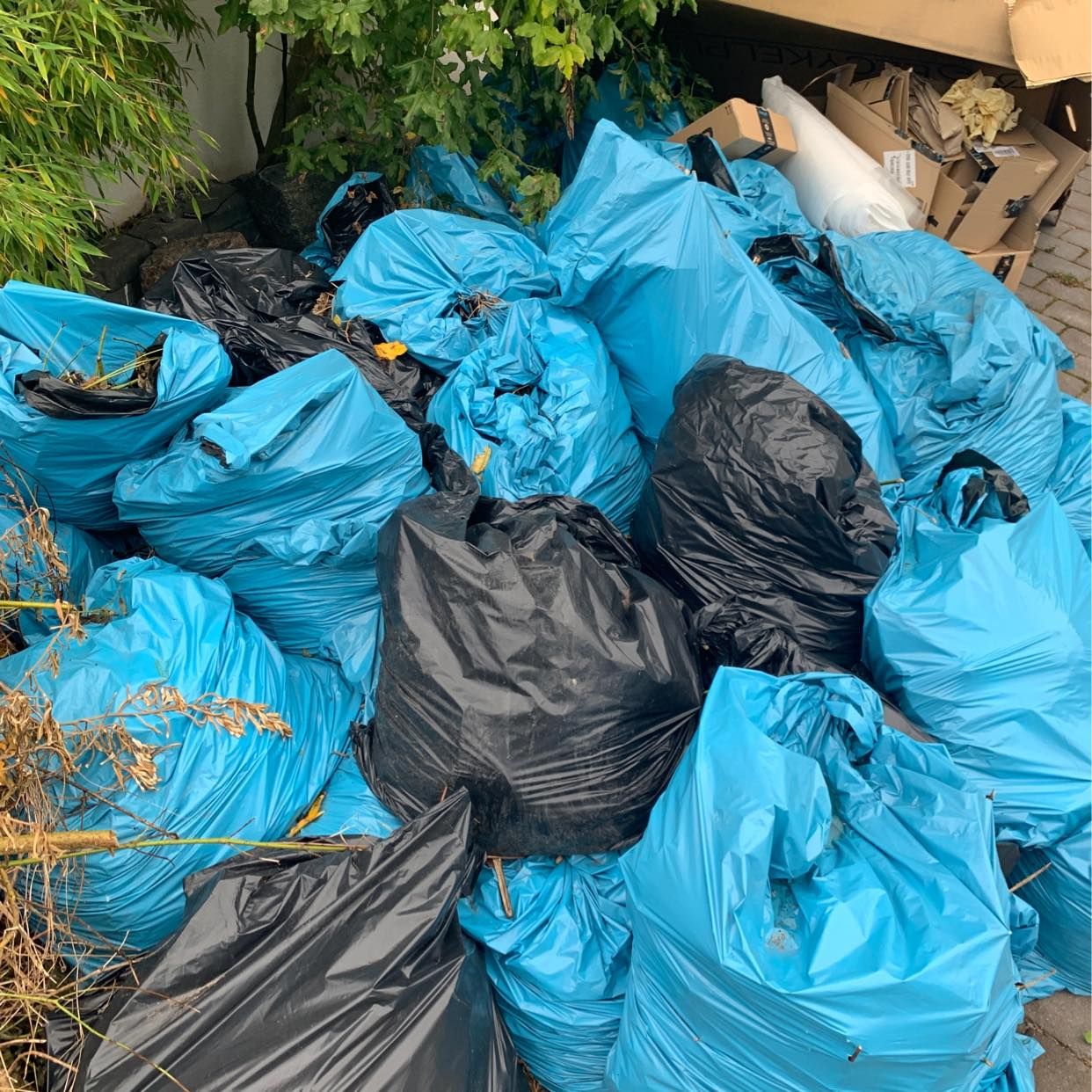 image of Removal of garden waste - Lidingö