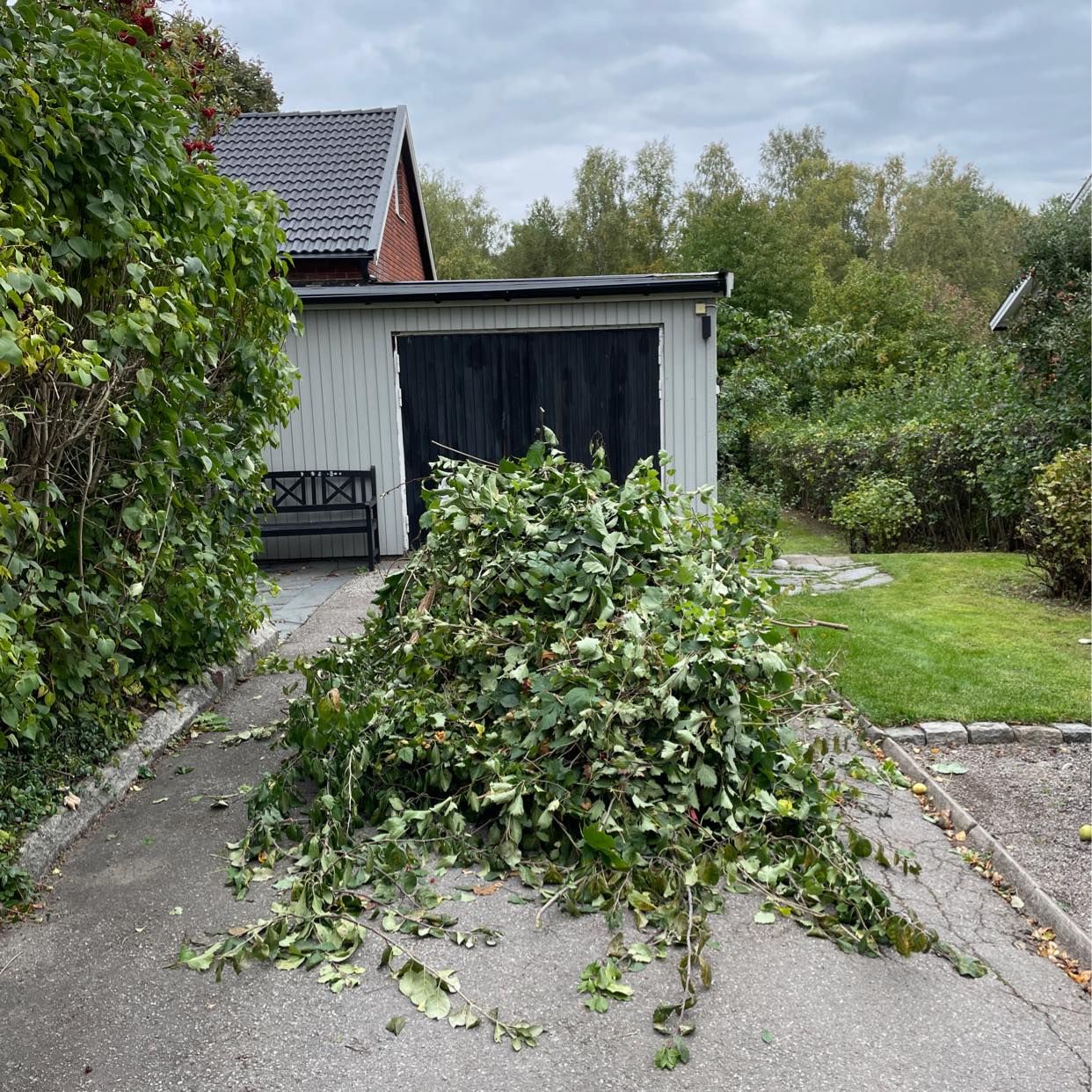 image of Trädgårdsris - Danderyd