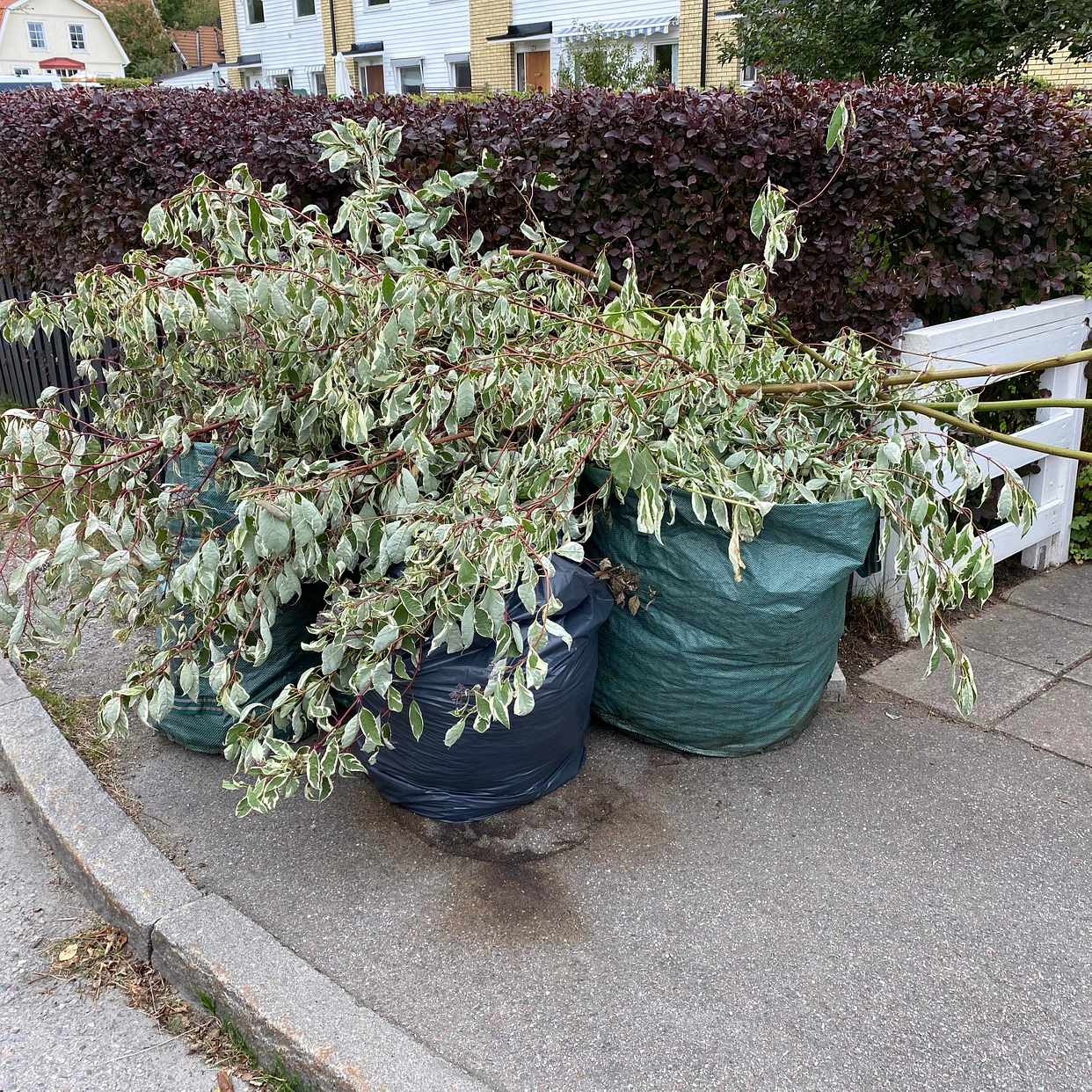 image of Hämta till återvinning - Spånga