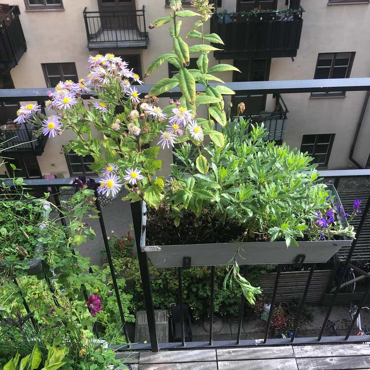 image of Balcony/garden stuff - Stockholm