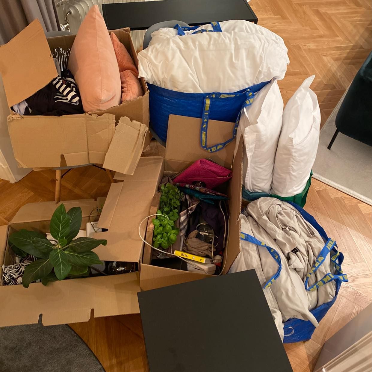image of Flytta div små kollin - 
