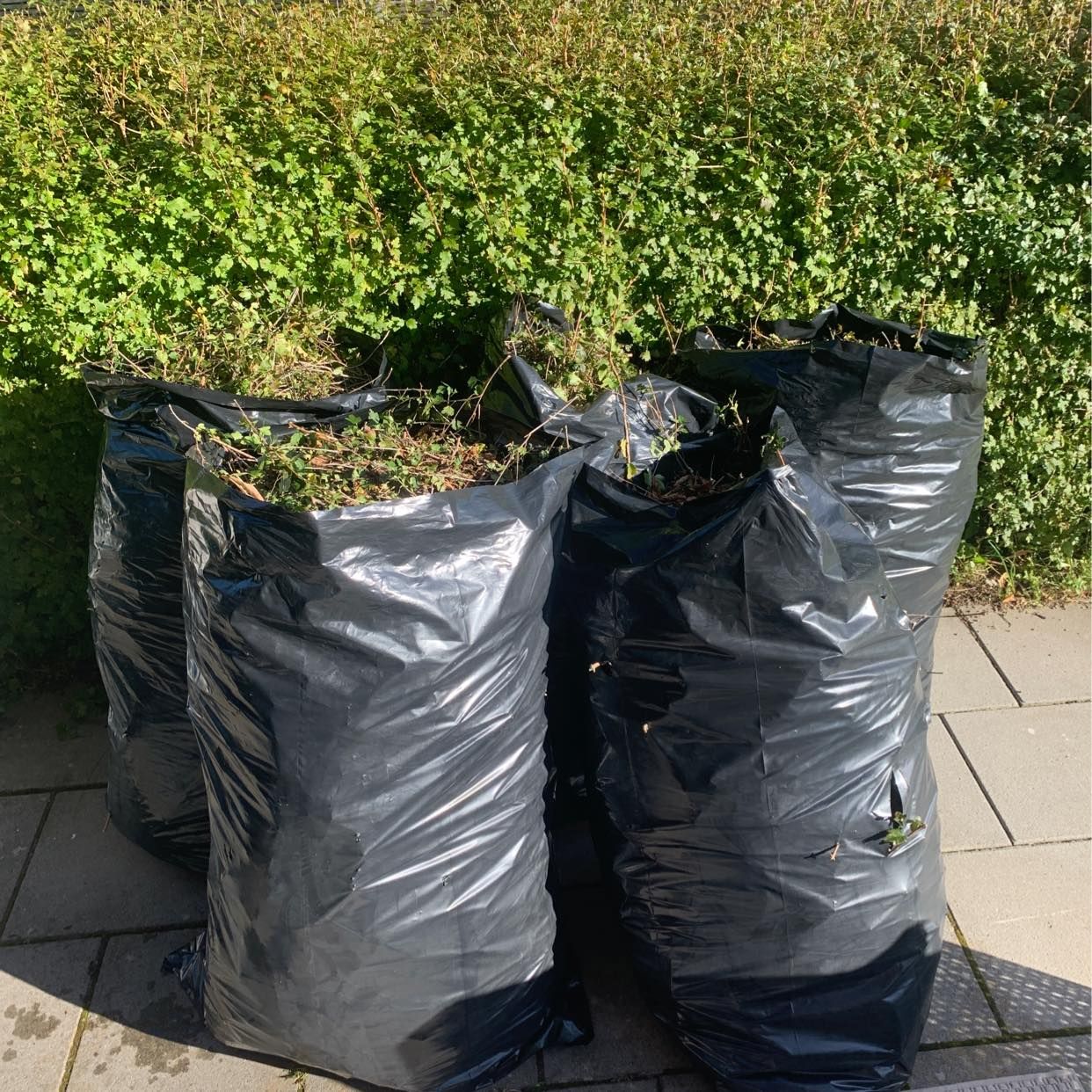 image of 5 säckar med grenar - Bromma
