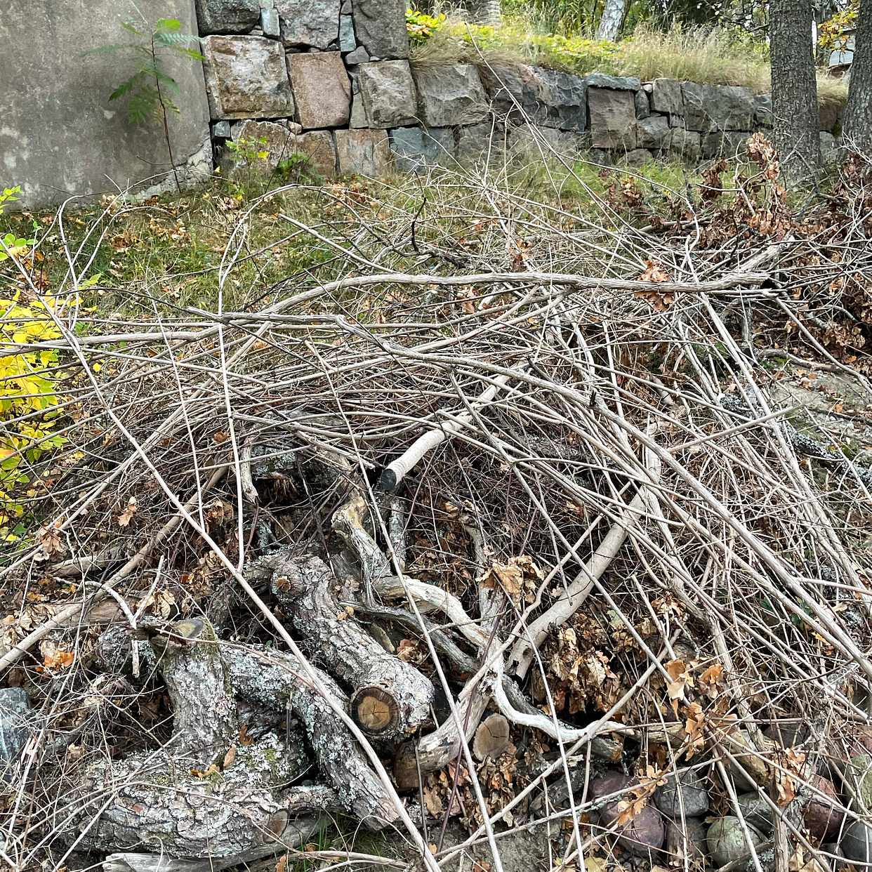 image of Grenar, ris och slipers - Trångsund