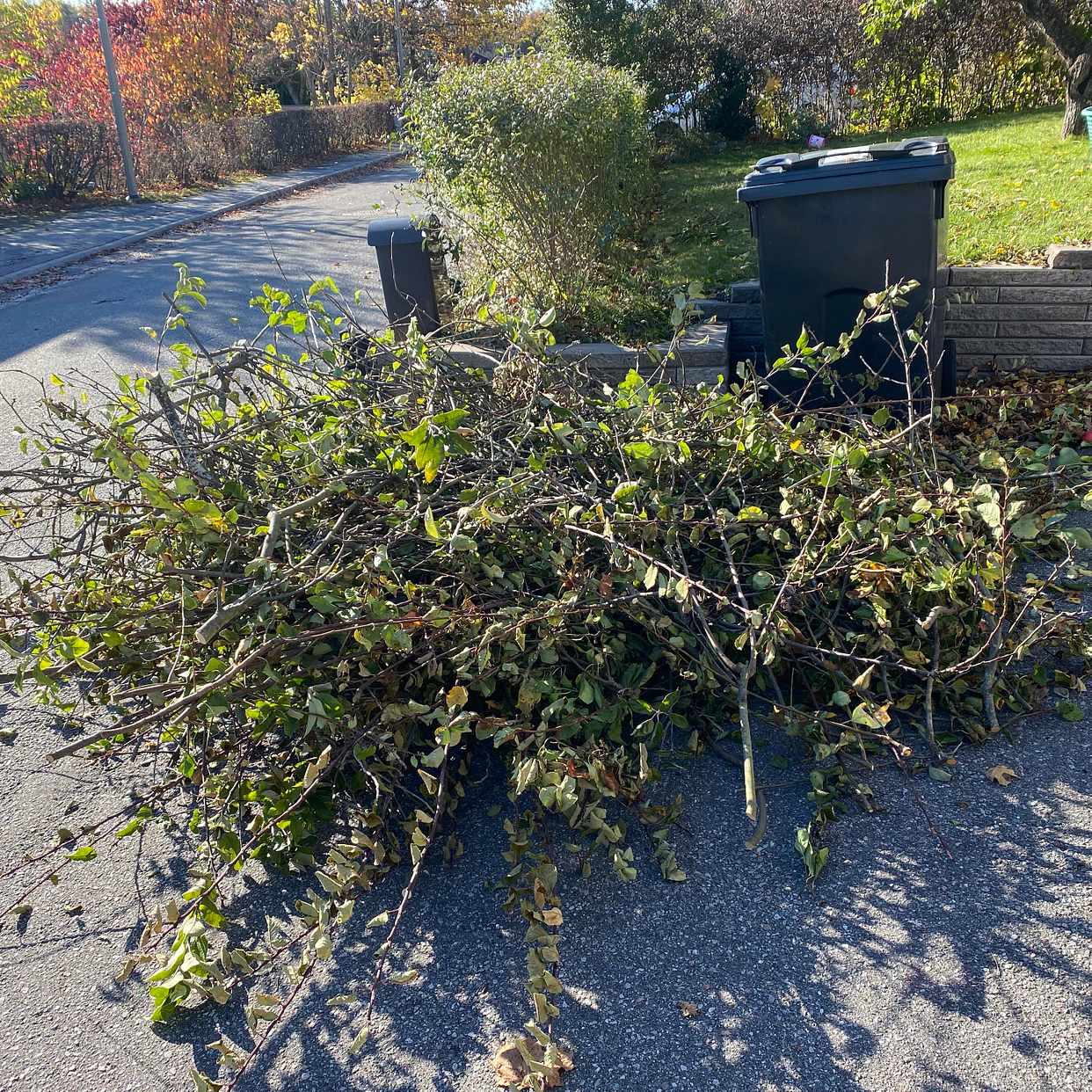 image of Trädgårdsavfall - Hässelby