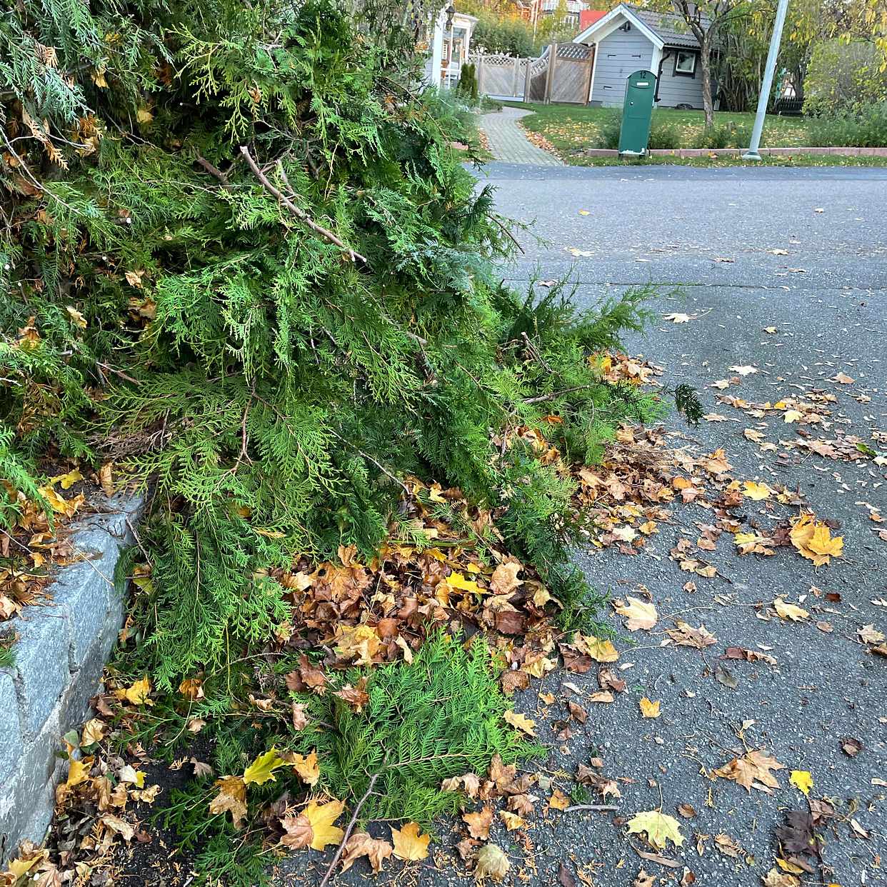 image of Trädgårdsavfall till tipp - Upplands Väsby