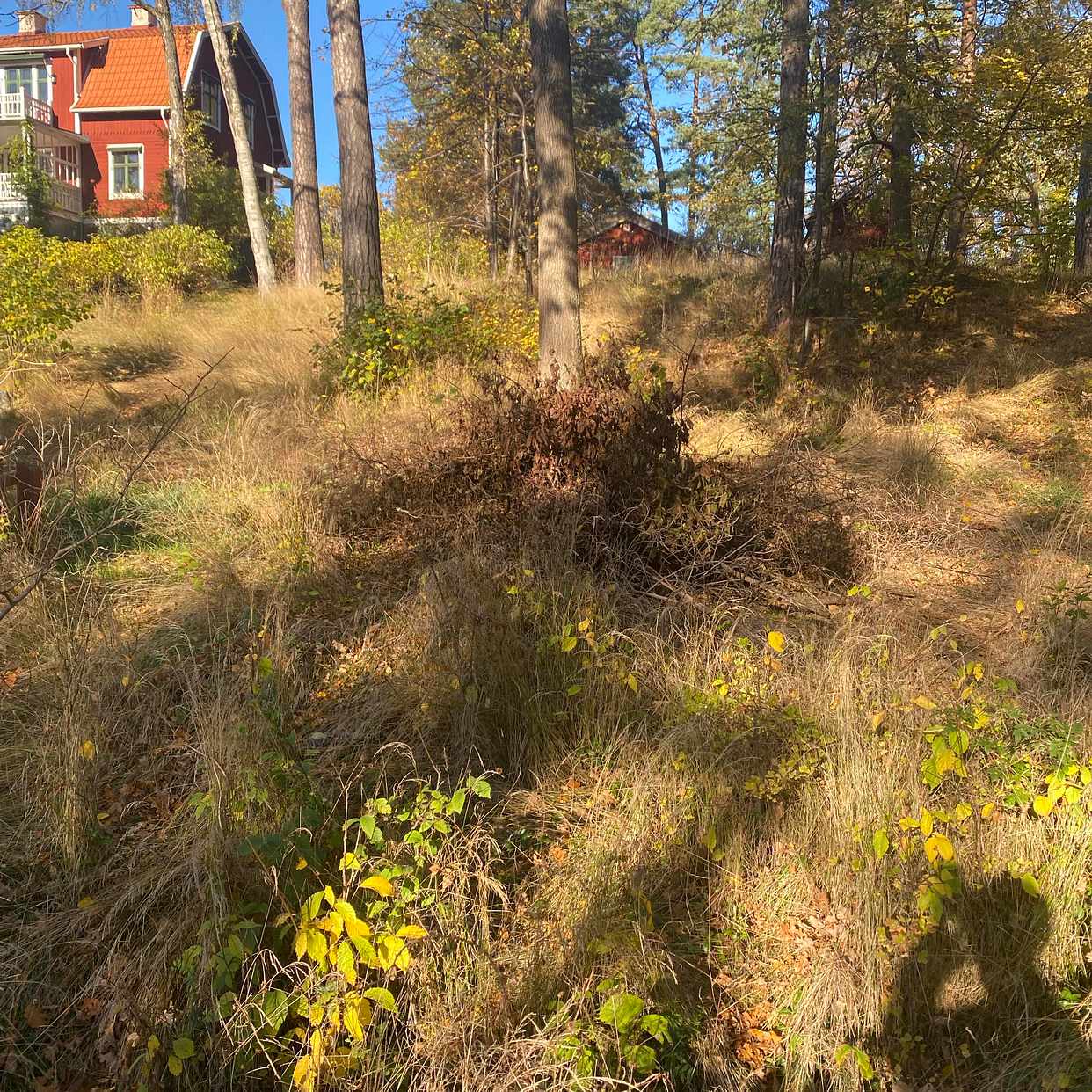 image of Trädgårdsavfall - Saltsjö-Boo