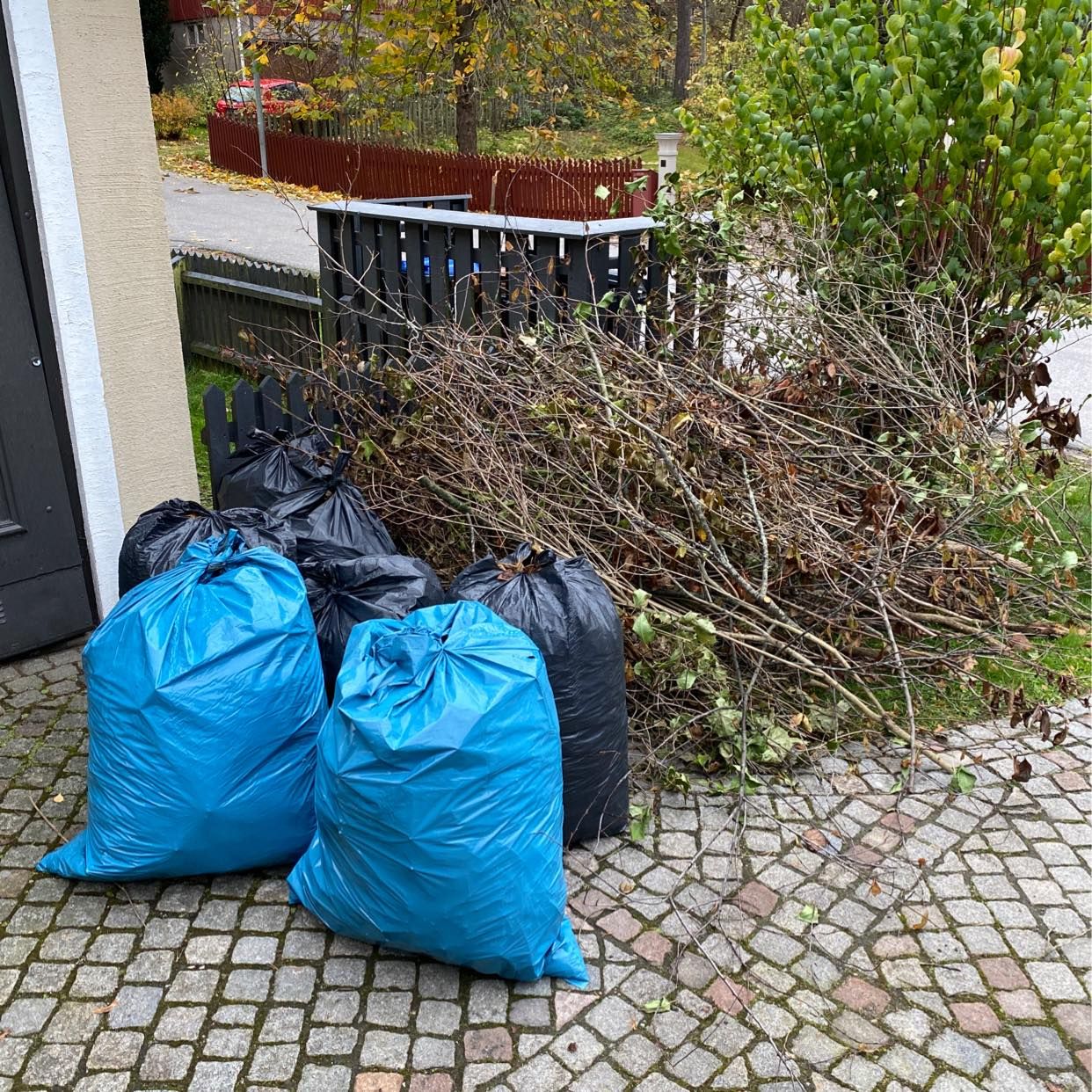 image of Bransches and leafs - Stocksund